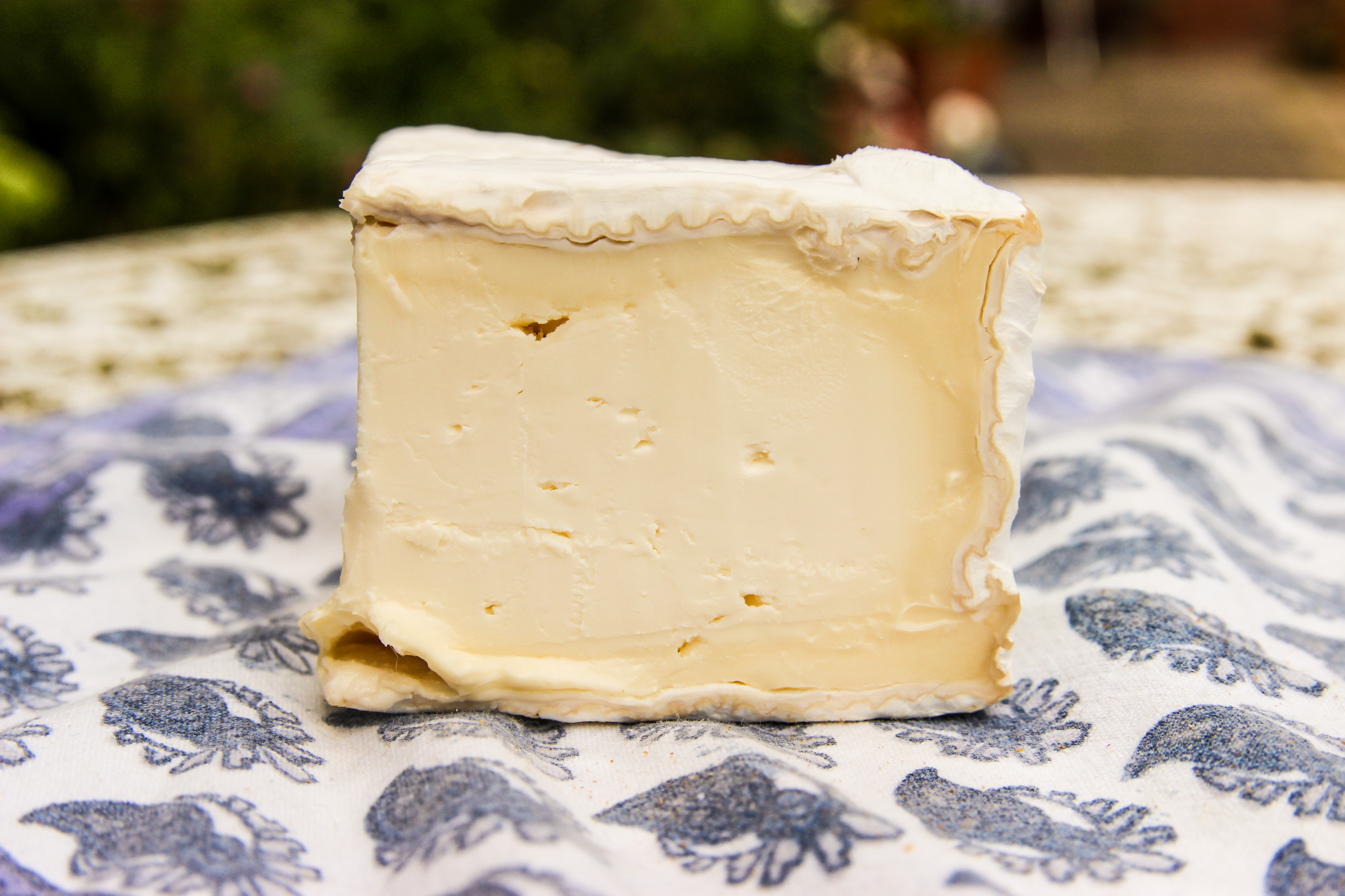 brillat savarin how to choose which buy for cheese board creamy